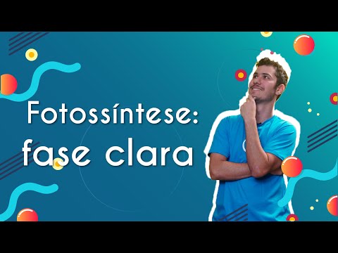 Photosynthesis: light phase | Brasil Escola