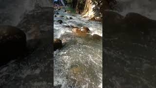 Download lagu wisata air terjun tebing tinggi kota Medan IG @bojes_4215 mp3 Download lagu wisata air terjun tebing tinggi kota Medan IG @bojes_4215 mp3