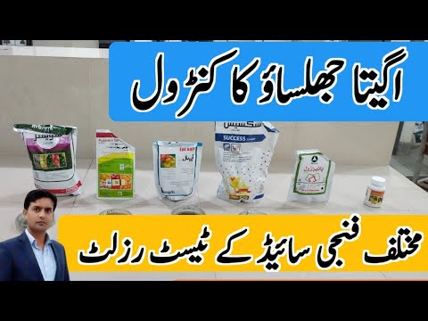 Experimental results for the control of Early blight pathogen by various chemical and bio control