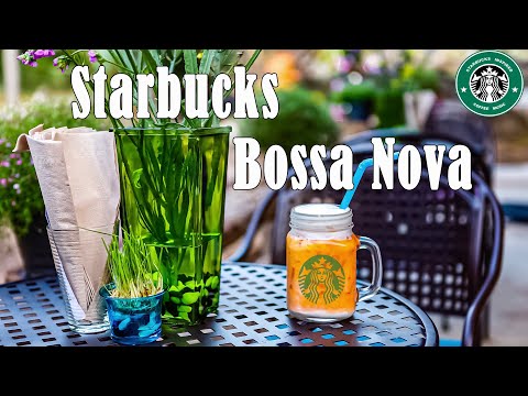 Starbucks Bossa Nova: Starbucks Music - Jazz Bossa Nova for Relax, Stress Relief - Jazz Instrumental