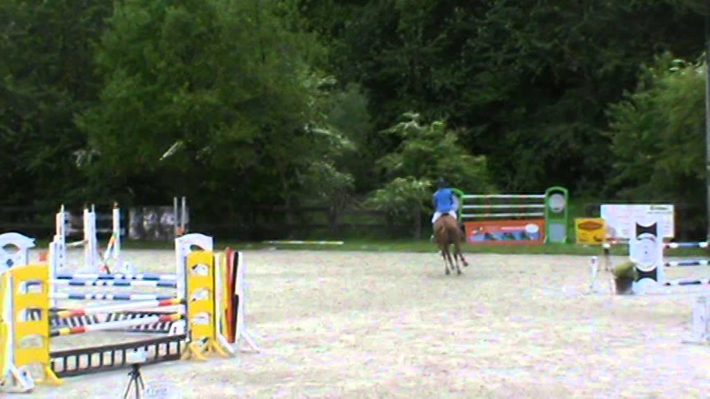 Watch video Jamira Horta Z - Training young horses Avelines 14.05.2015 Jamira Horta Z - Training young horses Avelines 14.05.2015