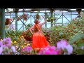 Poova Poova Poove Song Whatsapp Status Poovellam Kettupar Surya Jyothika Yuvan