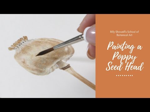 Painting a Poppy Seed Head - Preview ⎮Billy Showell ⎮Watercolour Beautiful