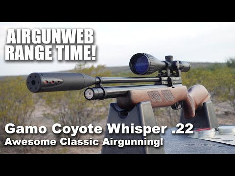 Gamo Coyote Whisper .22 Caliber - Let’s spend some time with an old friend from Gamo USA!