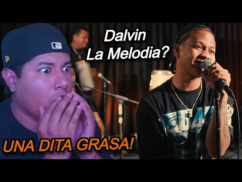 PRIMERA VEZ REACCIONANDO a Dalvin La Melodía - Chiquilla Bonita