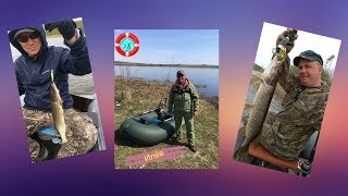 Колючий саров рыбалка