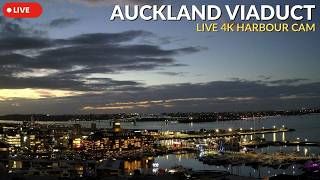 Auckland Live Cam · Viaduct Harbour & Harbour Bridge · 4K 24/7 🔴 live webcam