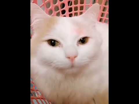 Experimenting with my editing skills😎✌️