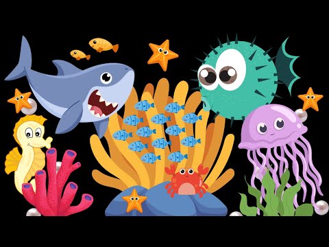 Little Ocean Friends baby sensory with high contrast and visual stimulation