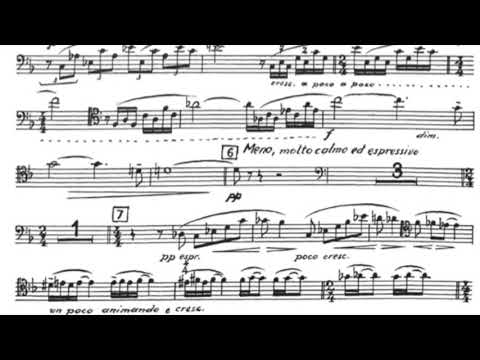 Nino Rota concerto per trombone e orchestra Massimo La Rosa trombonist