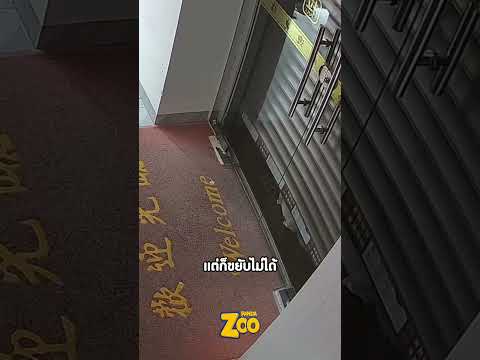 วินาทีช่วยชีวิตแมว ใต้ประตูม้วน!
