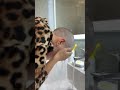 Girl Headshave Headshave Baldhead