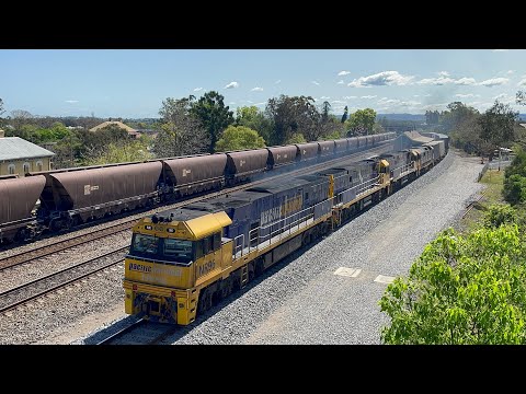 Pacific National NR96, NR26, NR29 & 8120 with 2BS4 at East Maitland - 17/9/24