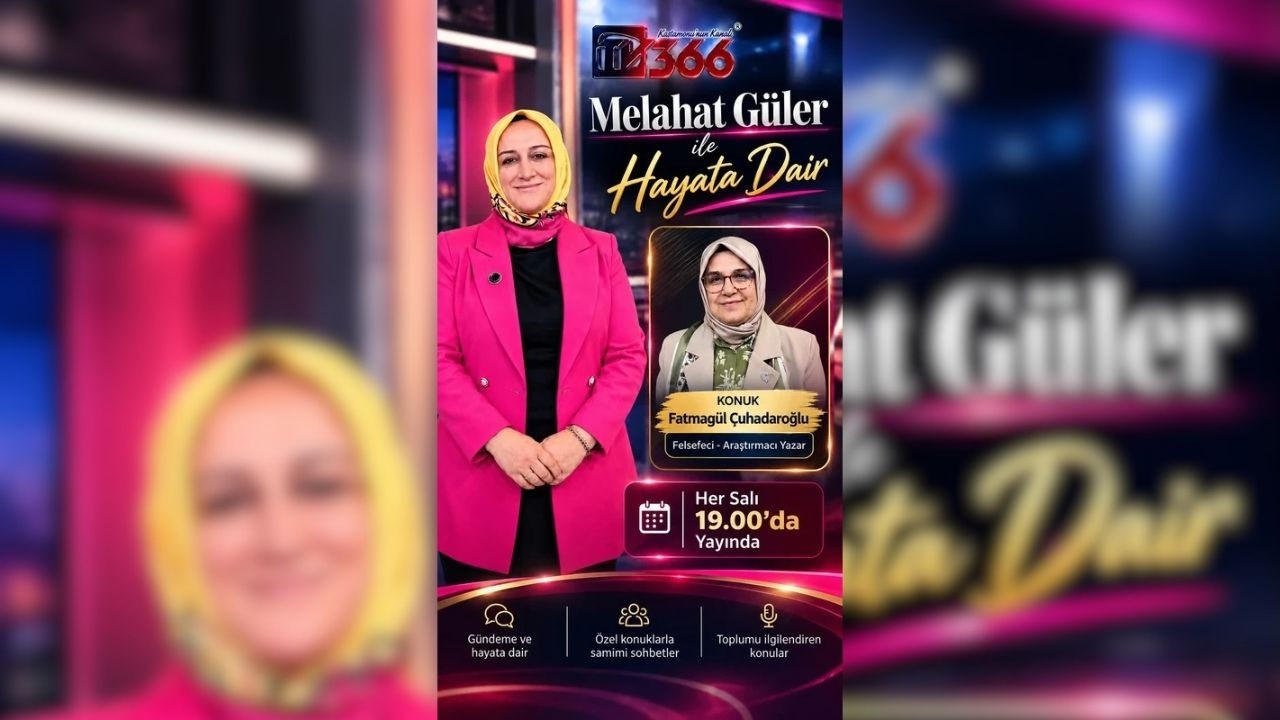 TV366