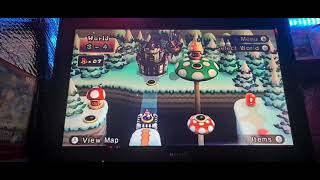 New Super Mario Bros.Wii