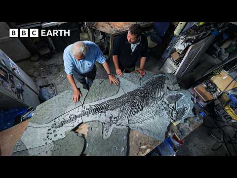 Ancient Sea Dragon Rebuilt in Stunning 3D Scan | BBC Earth