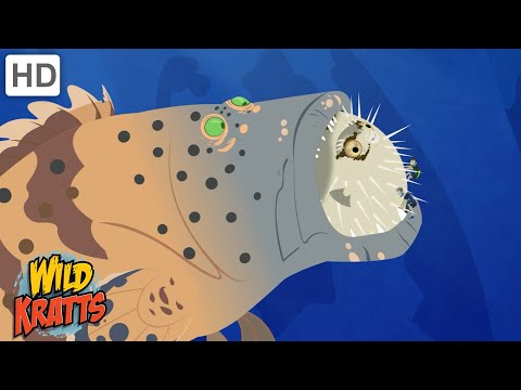 Creature Battles! | Every Creature Showdown Part 12| Wild Kratts