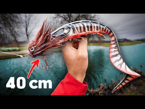 HUGE baits in SMALL waters (English subtitles)