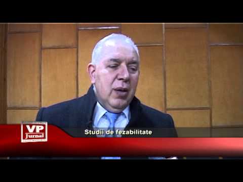 Studii de fezabilitate