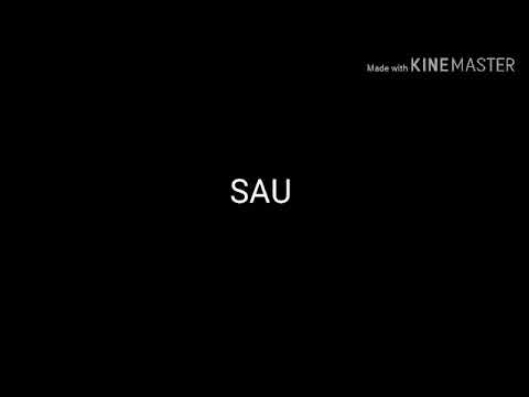 Saudades Papa ho Mama