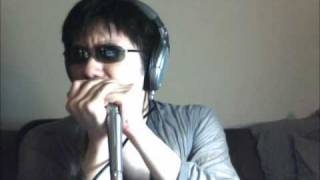 Harmonica Funky Blues in D minor (Custom Suzuki Manji)