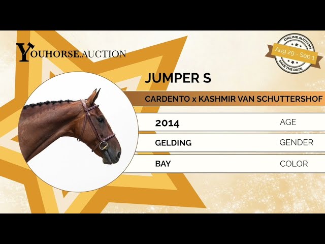 Jumper showvideo