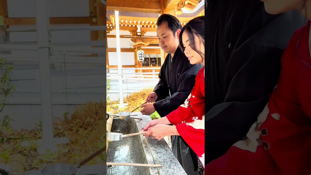 Mùa Hoa Anh Đào Tokyo