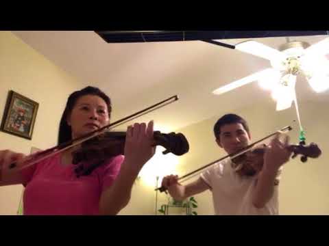 Promotional video thumbnail 2 for Ocean violinist