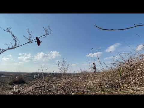 Shaka Slope Glider - Evening Flight