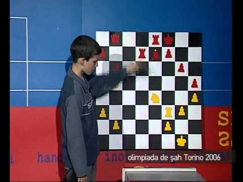Emisiunea 77 arhiva: "olimpiada de sah Torino 2006 - Istratescu"