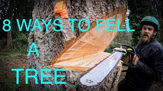 WORLD&#39;S BEST TREE FELLING TUTORIAL! Way more information than you ever wanted on how to fell a tree!