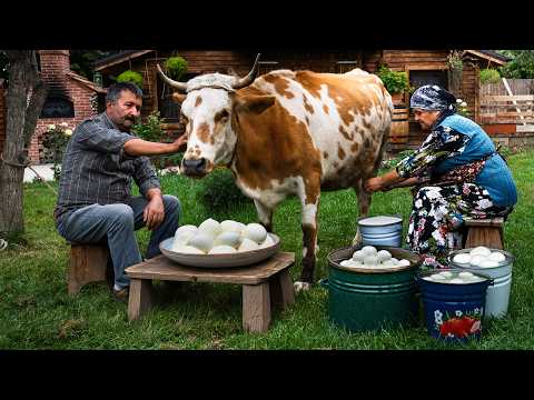 From Fresh Milk to Cheese – Traditional Caucasian Recipe 🧀🌿