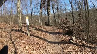 Ozark Foothills 25k trail race