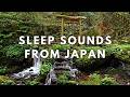 Sleep To Japanese Stream Sounds ASMR
