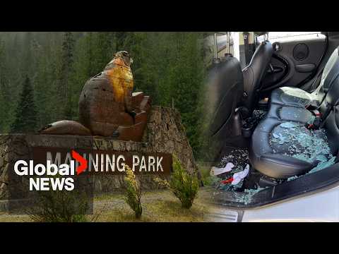 BC family’s camping trip cut short after 16 vehicle break-ins at popular provincial park