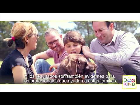 Cómo se forma a un terapeuta canino   Perro de terapia   Perro de asistencia   DOGKING subtitulado