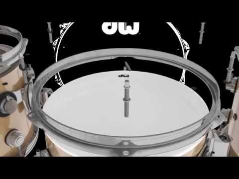 DW is inTUNE with Drummers Animation