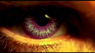 Vital Remains - The Night Has A Thousand Eyes