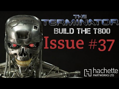 Build the terminator issue 37 - the thoracic cage and vertebra
