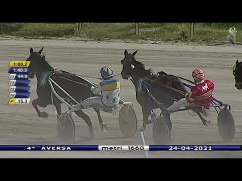 Aversa trotto 24 Aprile 2021 - 4° Corsa