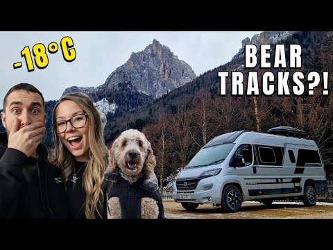 Camping in Bear Territory in the Dolomites | Winter Vanlife Europe