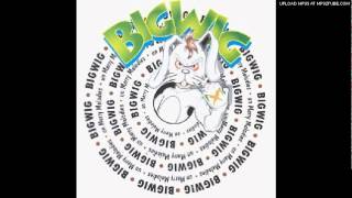 Bigwig - Smile