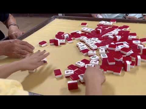 Extra “ WALL MAHJONG “ videos Liza on cam