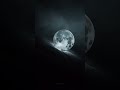 Famy Ava Lyrics This World Is Primal Famy Darkvibes Useheadphones Shorts Lyrics