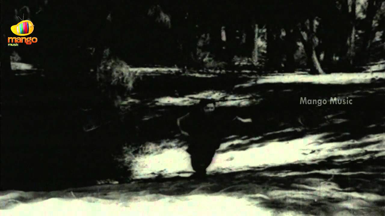 Niluvave Vaalu Kanuladhana Lyrics  | Illarikam | ANR, Jamuna | BA Subba Rao