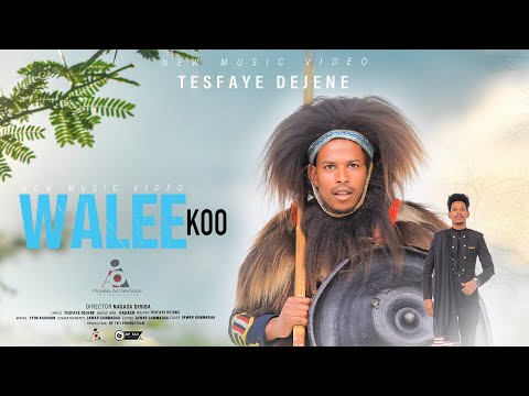 Tesfayee Dejene WALEE_KOO// -New Ethiopian Afaan Oromo Music video 2024 (Official Video)