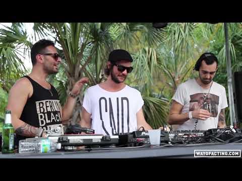 Audiofly vs M A N D Y