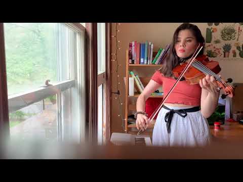 Romulus - Sufjan Stevens -a Viola Cover by EleanorEriko