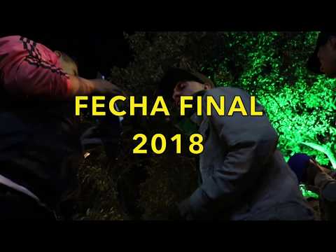 WOF / Fecha final del 2018 / Semifinal / Chompy VS Wendigo KYGRO
