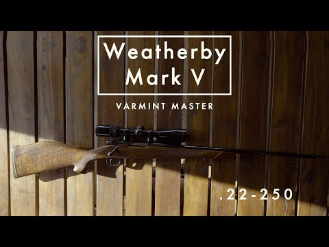 Weatherby Vanguard Review: How accurate is it?